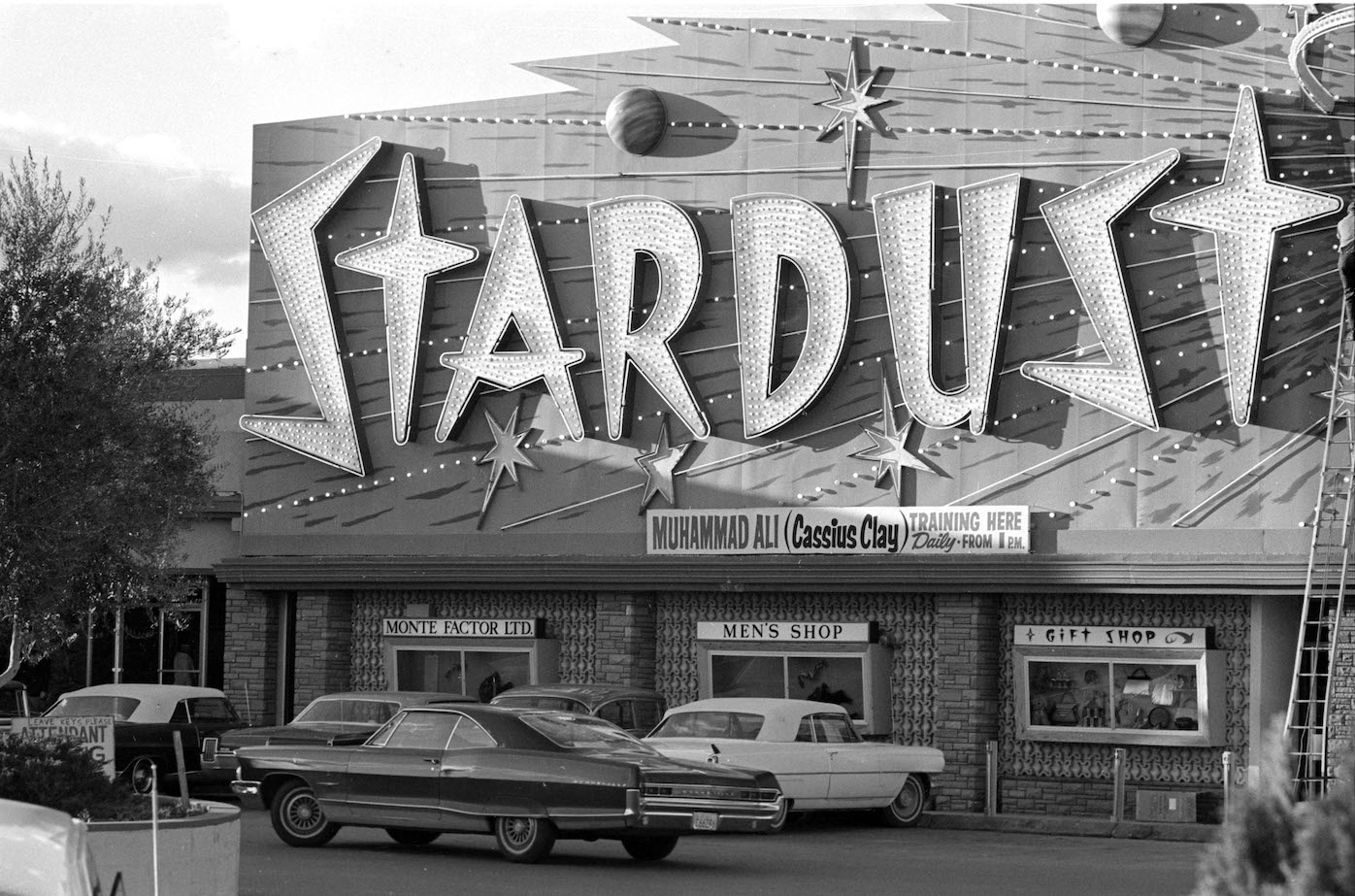 Stardust 2