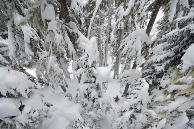 Whistler