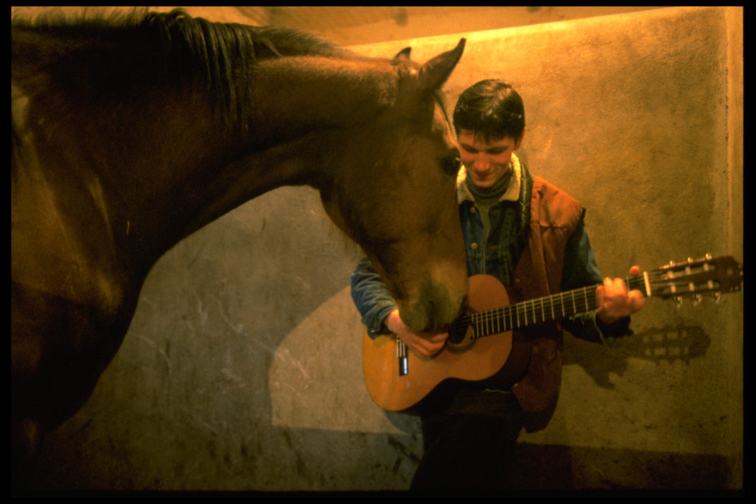 Palio (17)