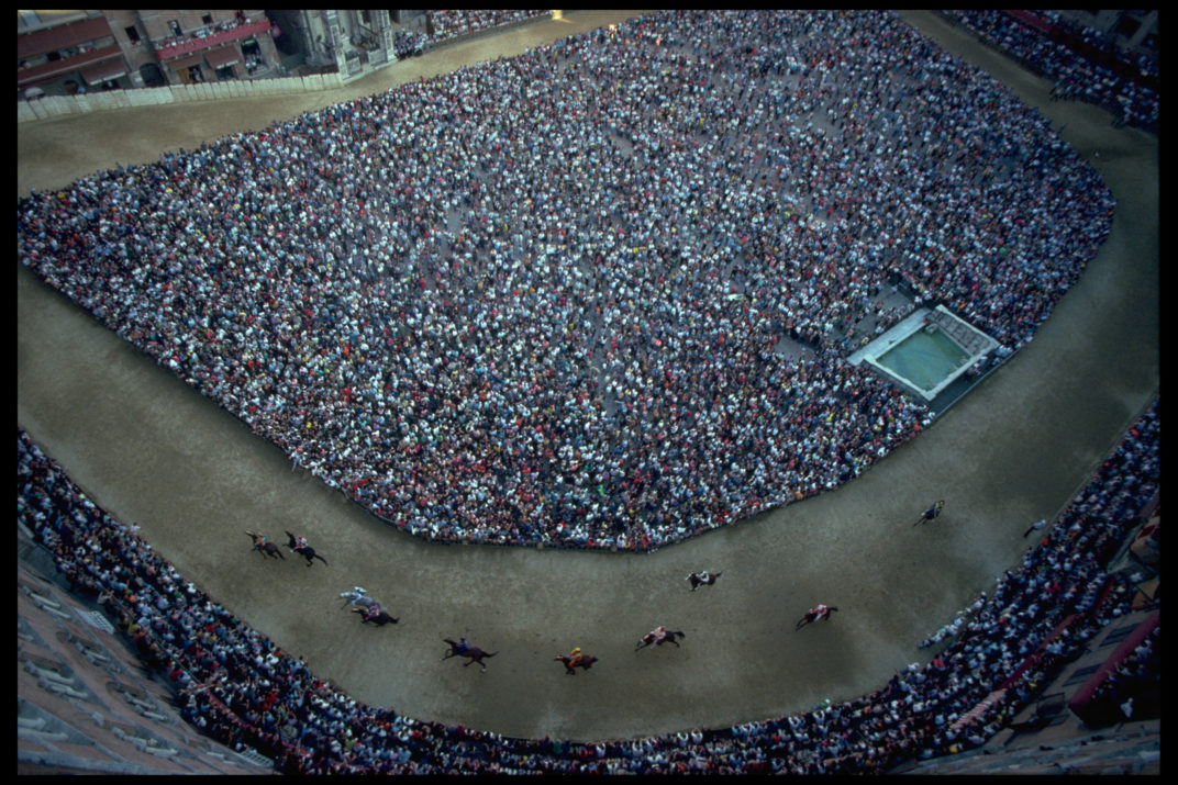 Palio (8)