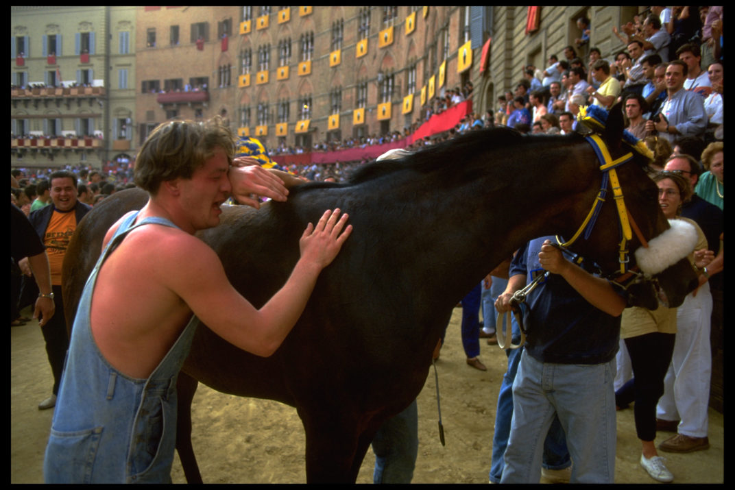 Palio (24)