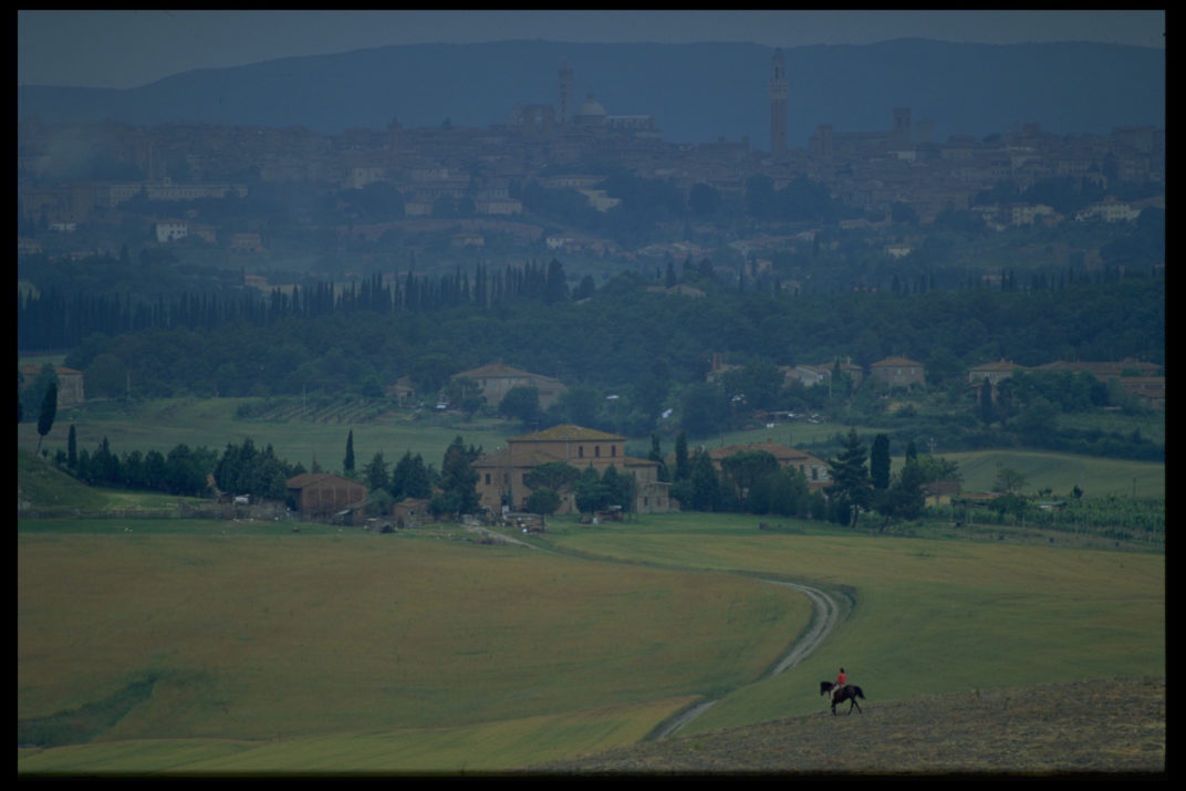 Palio (10)