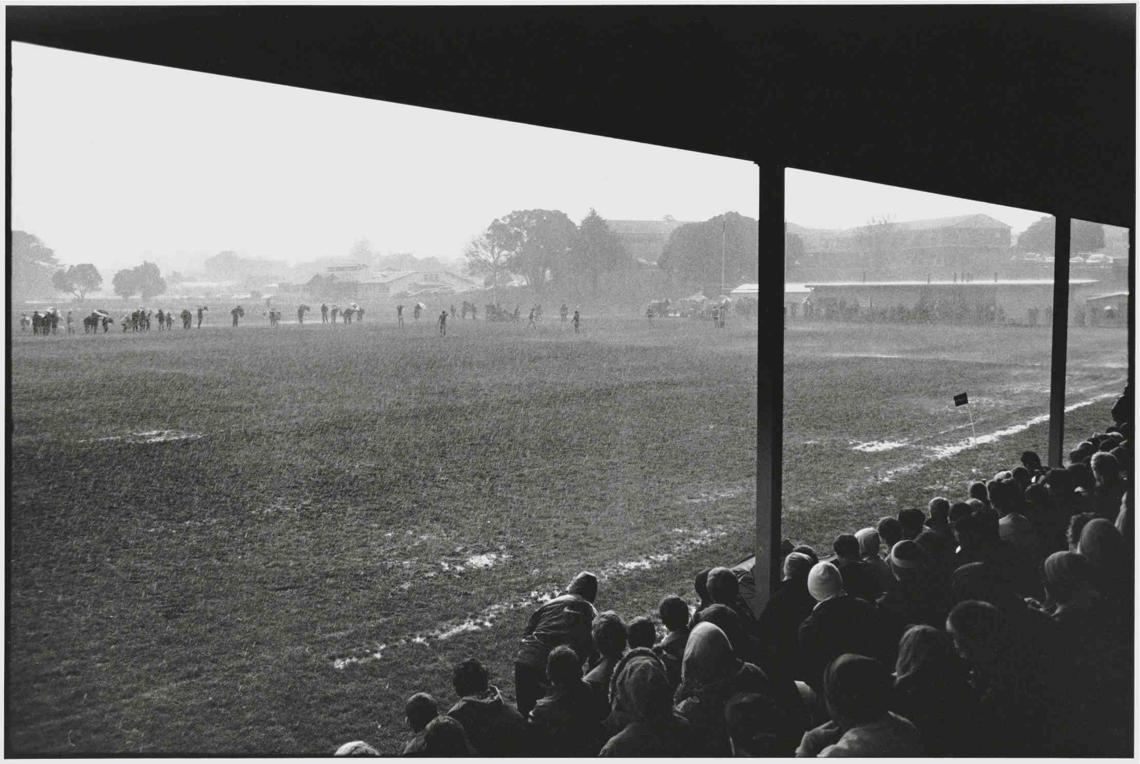 Stands
