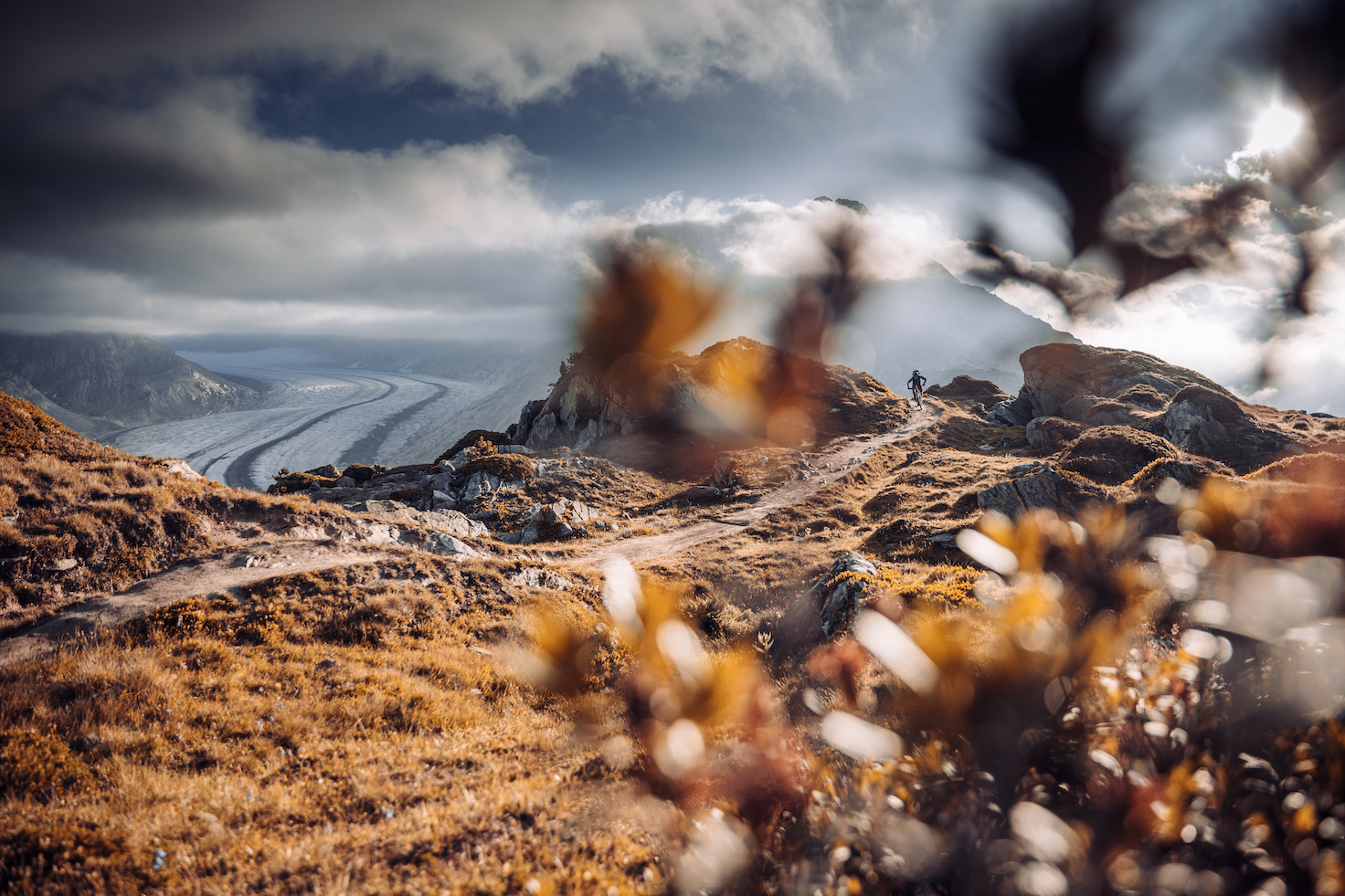 Aletsch (2)