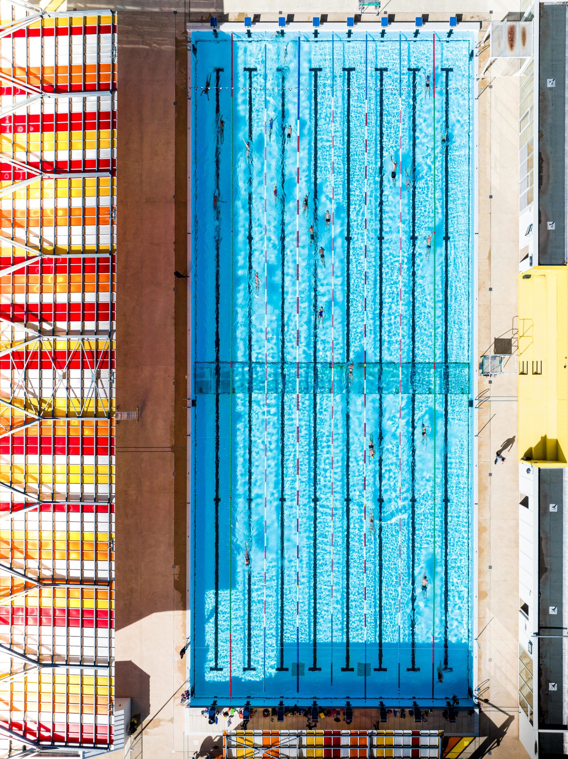 Natation